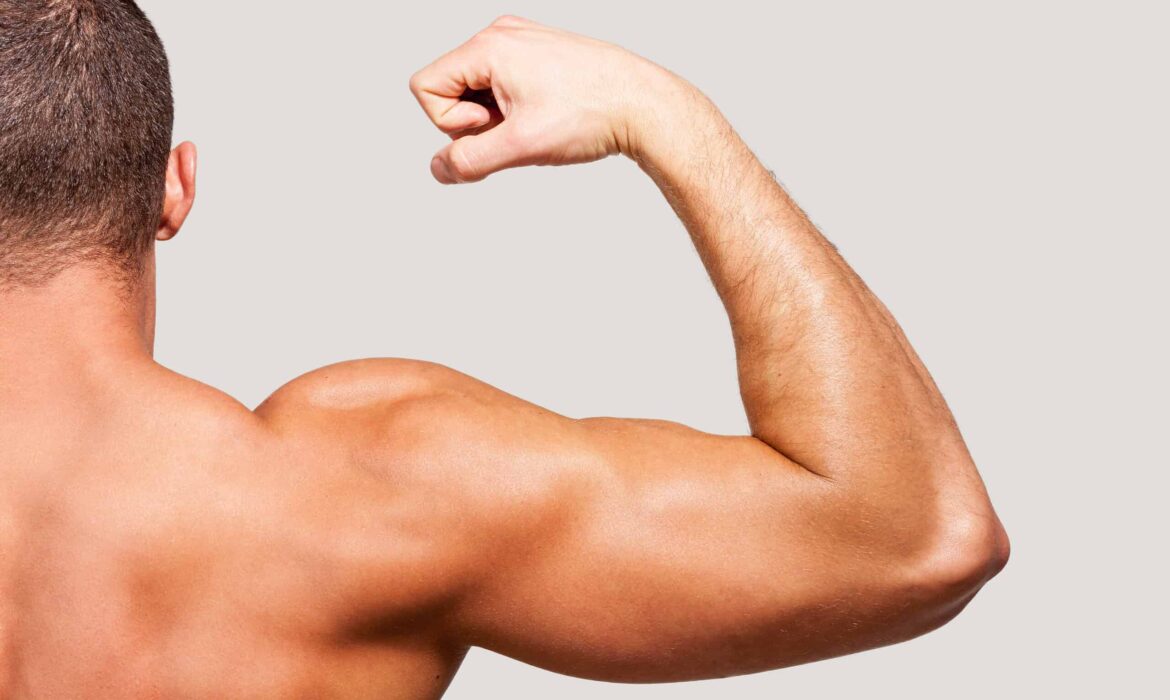Showing his perfect bicep. Rear view of young muscular man showing his bicep on one hand while standing against grey background
